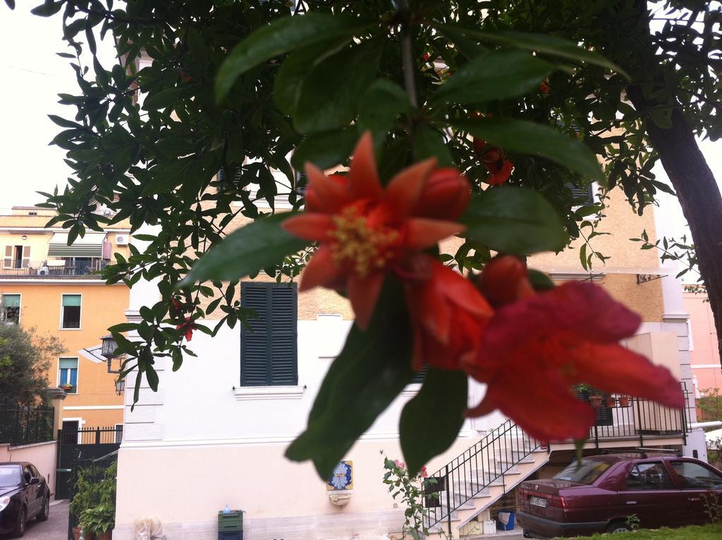 Aristocarli Bed & Breakfast Roma Exterior foto